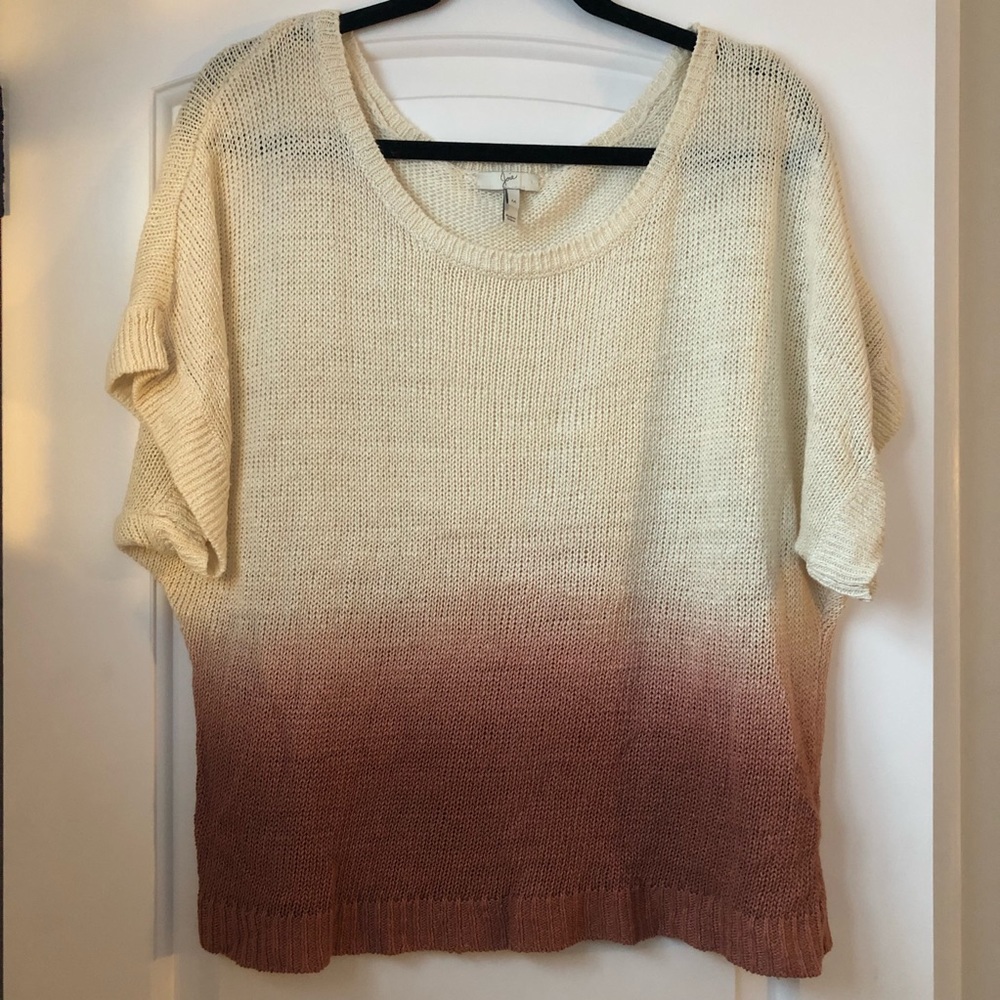 Joie ombré sweater